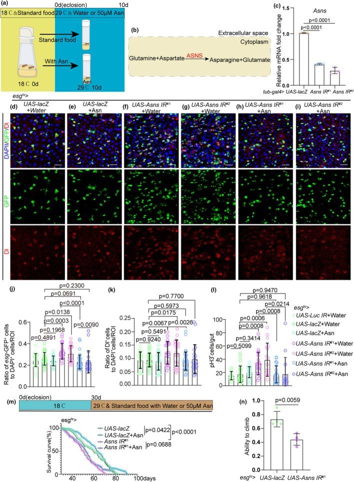 https://cdn.ncbi.nlm.nih.gov/pmc/blobs/63a4/11984690/0e32ecf3ba75/ACEL-24-e14423-g004.jpg