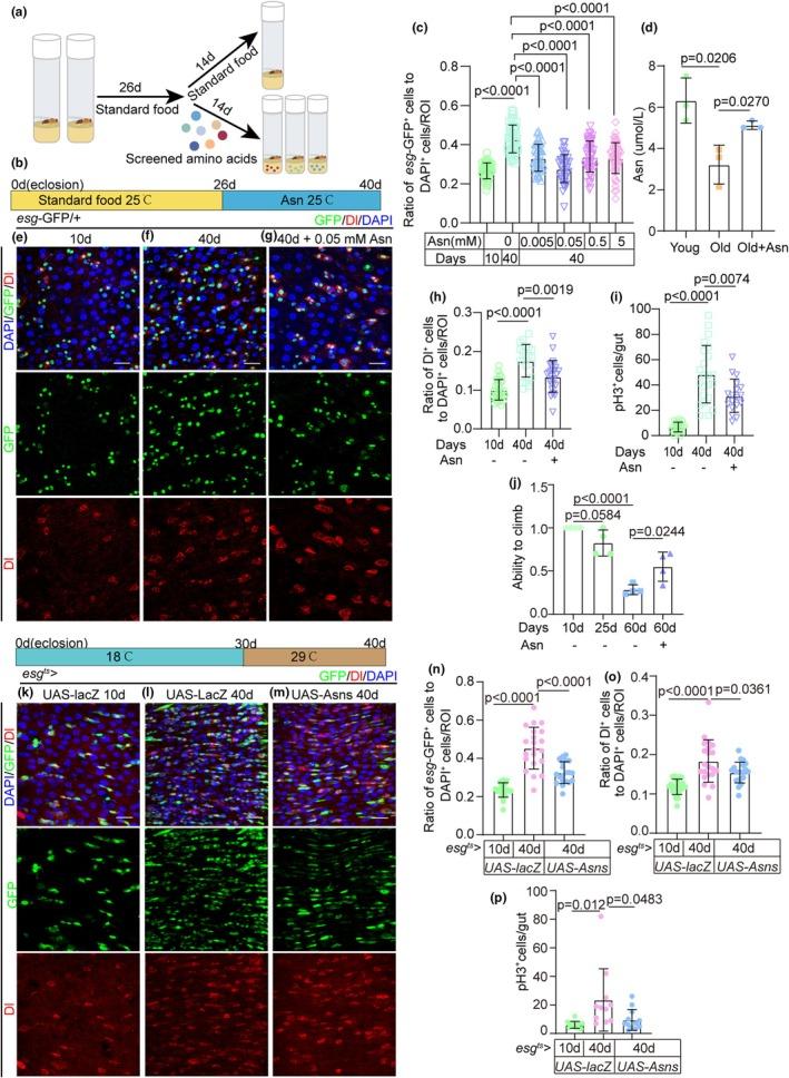 https://cdn.ncbi.nlm.nih.gov/pmc/blobs/63a4/11984690/3d32f95756b5/ACEL-24-e14423-g001.jpg