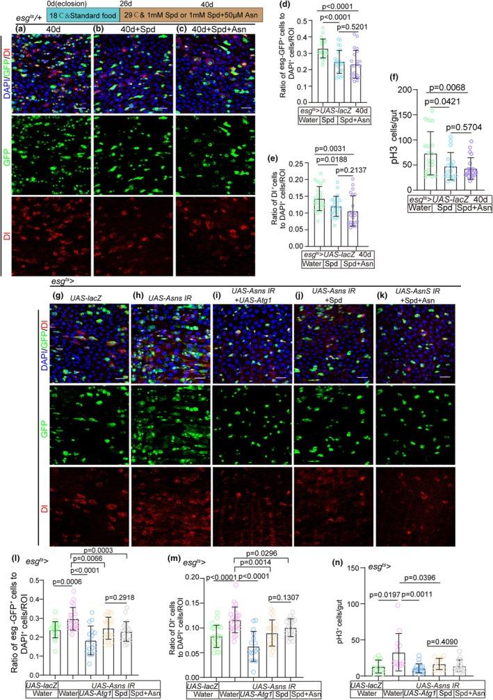 https://cdn.ncbi.nlm.nih.gov/pmc/blobs/63a4/11984690/b9ba8d604968/ACEL-24-e14423-g002.jpg