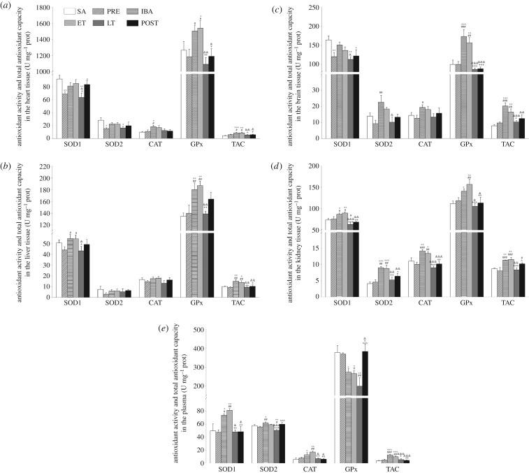 https://cdn.ncbi.nlm.nih.gov/pmc/blobs/63a4/6223210/217c87c20492/rsob-8-180068-g4.jpg