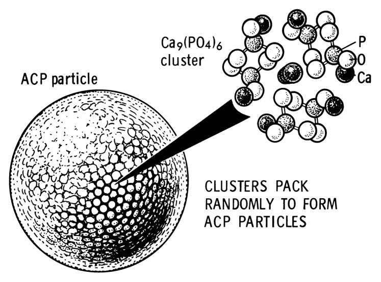 https://cdn.ncbi.nlm.nih.gov/pmc/blobs/63a5/3549886/4860fb767dcf/biom-1-121-g7.jpg