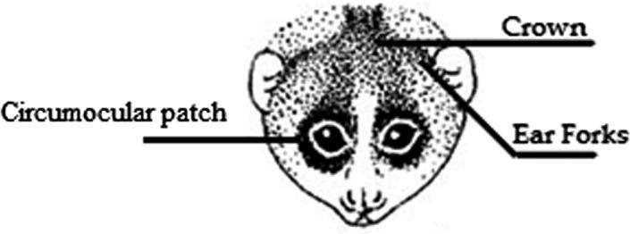 https://cdn.ncbi.nlm.nih.gov/pmc/blobs/63a5/8093732/6c0467cb34a5/ECE3-11-4442-g001.jpg