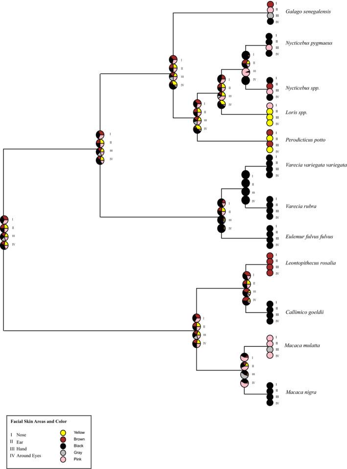 https://cdn.ncbi.nlm.nih.gov/pmc/blobs/63a5/8093732/af79238b5d78/ECE3-11-4442-g008.jpg