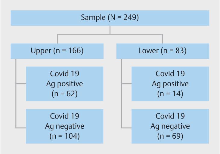 https://cdn.ncbi.nlm.nih.gov/pmc/blobs/63a7/10769582/119ae044e9e4/10-1055-a-2180-9872_21831396.jpg