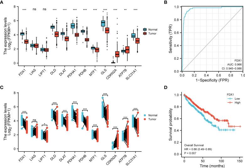 https://cdn.ncbi.nlm.nih.gov/pmc/blobs/63a7/9299088/7d0e9670c825/fonc-12-919083-g001.jpg