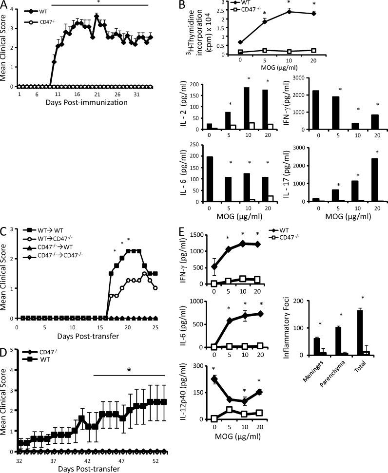 https://cdn.ncbi.nlm.nih.gov/pmc/blobs/63a9/3405500/70a0c298b40a/JEM_20101974_Fig2.jpg