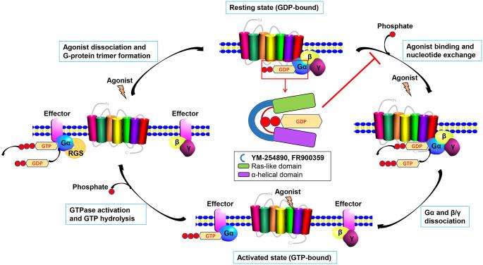 https://cdn.ncbi.nlm.nih.gov/pmc/blobs/63aa/7586035/2ec7ff6485d8/10.1177_1758835920965852-fig2.jpg