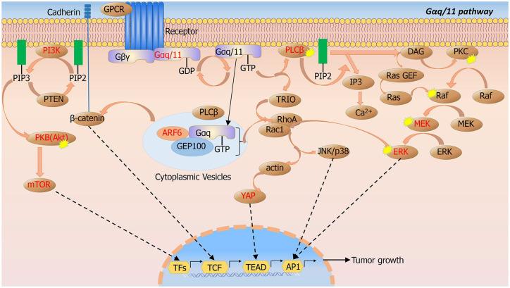 https://cdn.ncbi.nlm.nih.gov/pmc/blobs/63aa/7586035/6c902d9fea0c/10.1177_1758835920965852-fig3.jpg