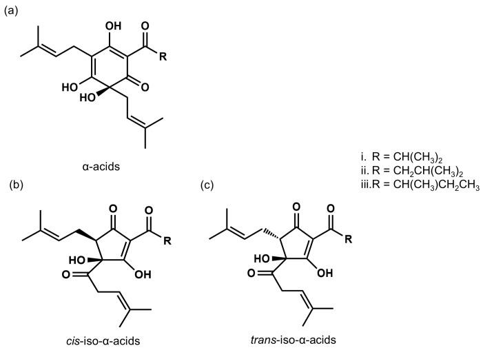 https://cdn.ncbi.nlm.nih.gov/pmc/blobs/63ac/7022854/2af9490f38e1/biomolecules-10-00131-g001.jpg