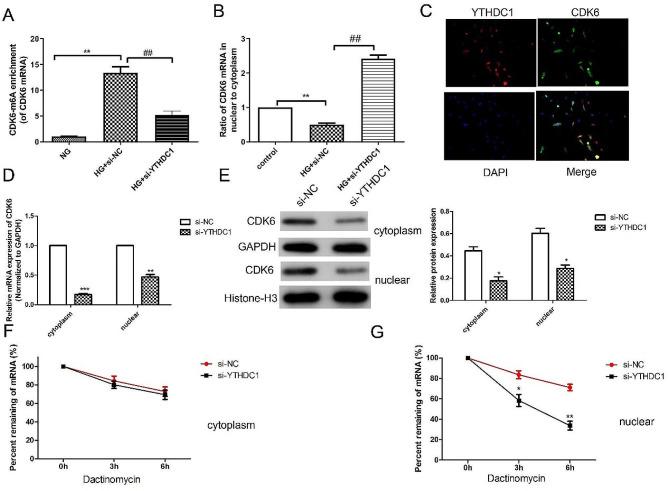 https://cdn.ncbi.nlm.nih.gov/pmc/blobs/63ad/11229198/076f4195a1ad/13062_2024_498_Fig5_HTML.jpg