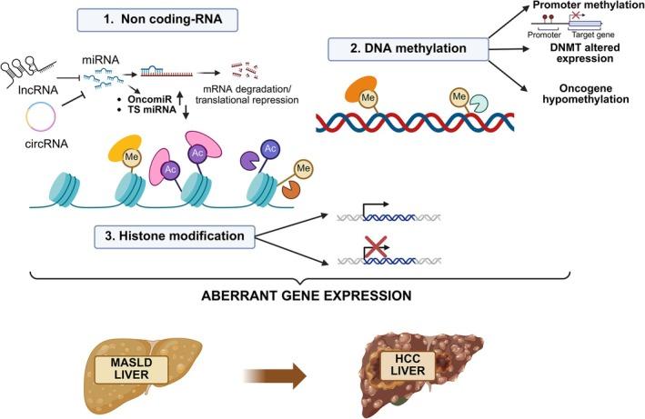 https://cdn.ncbi.nlm.nih.gov/pmc/blobs/63ad/12439080/d84bb2b866a1/IJC-157-1991-g001.jpg