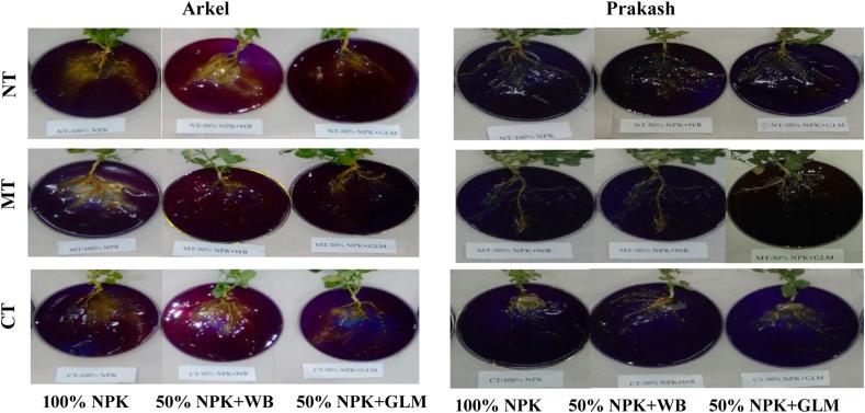 https://cdn.ncbi.nlm.nih.gov/pmc/blobs/63af/8167228/89d06169820d/gr3.jpg