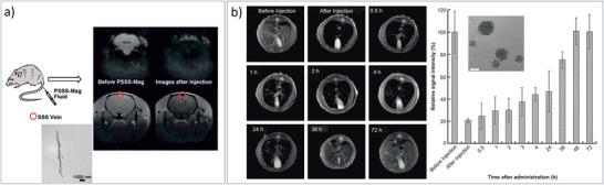 https://cdn.ncbi.nlm.nih.gov/pmc/blobs/63b0/8224446/028a5b6aa0d9/ADVS-8-2004951-g025.jpg