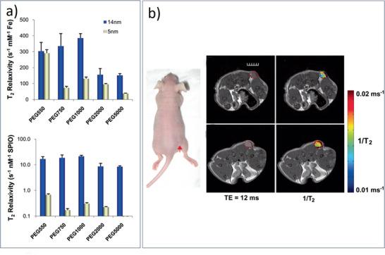 https://cdn.ncbi.nlm.nih.gov/pmc/blobs/63b0/8224446/37a4e9c58e7a/ADVS-8-2004951-g029.jpg