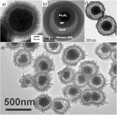 https://cdn.ncbi.nlm.nih.gov/pmc/blobs/63b0/8224446/60b73c96fd03/ADVS-8-2004951-g017.jpg