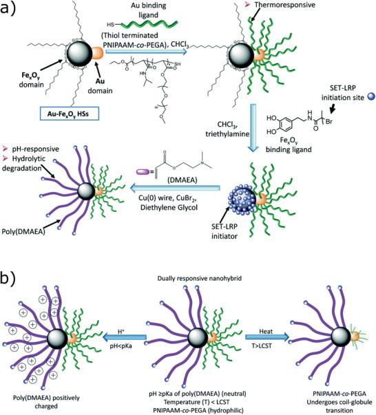 https://cdn.ncbi.nlm.nih.gov/pmc/blobs/63b0/8224446/6c2d181ad470/ADVS-8-2004951-g012.jpg