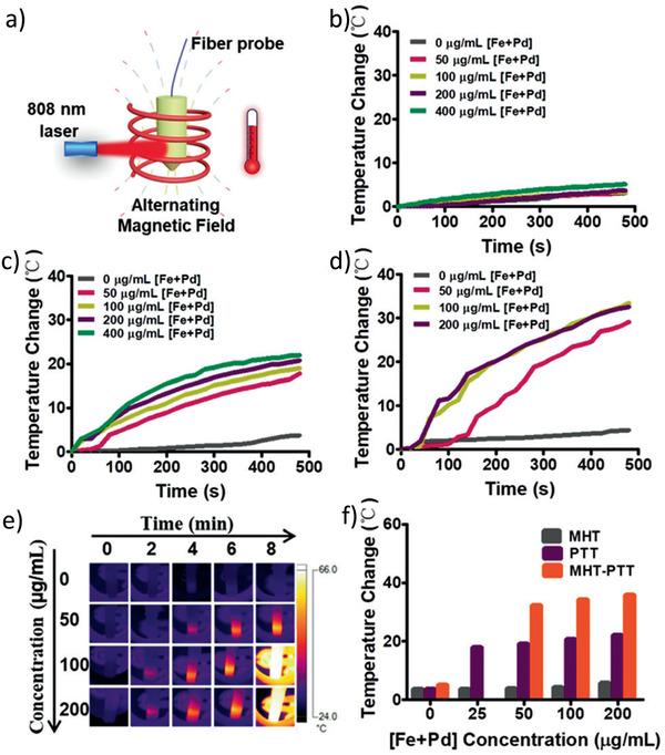 https://cdn.ncbi.nlm.nih.gov/pmc/blobs/63b0/8224446/8d01ecb23fe7/ADVS-8-2004951-g005.jpg