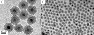 https://cdn.ncbi.nlm.nih.gov/pmc/blobs/63b0/8224446/adf24090fde9/ADVS-8-2004951-g011.jpg