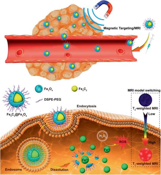 https://cdn.ncbi.nlm.nih.gov/pmc/blobs/63b0/8224446/c395aae22247/ADVS-8-2004951-g032.jpg