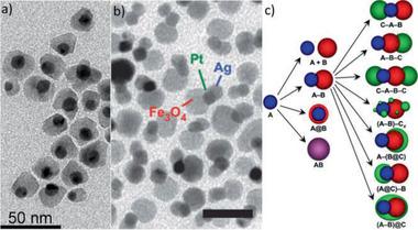 https://cdn.ncbi.nlm.nih.gov/pmc/blobs/63b0/8224446/f1d864b70a94/ADVS-8-2004951-g026.jpg