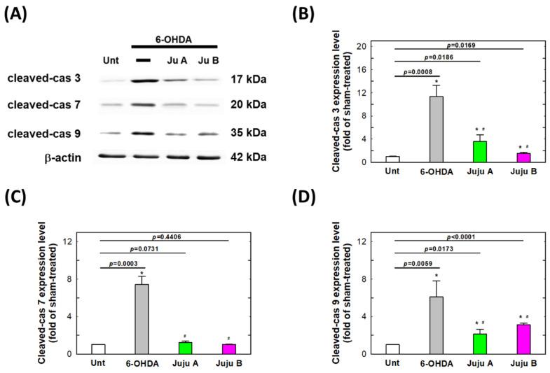 https://cdn.ncbi.nlm.nih.gov/pmc/blobs/63b2/9268520/037911b0922f/molecules-27-04106-g012.jpg