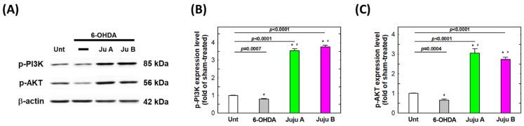 https://cdn.ncbi.nlm.nih.gov/pmc/blobs/63b2/9268520/b37bd95f6e3b/molecules-27-04106-g009.jpg