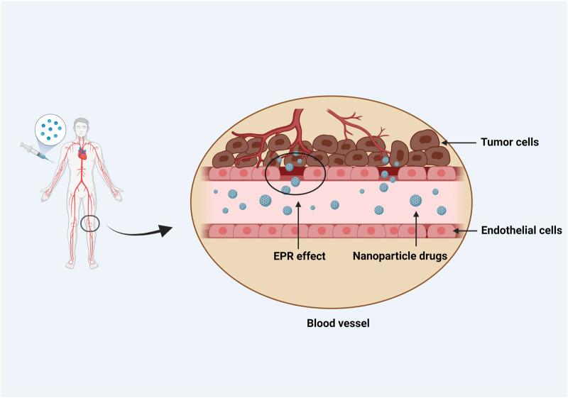 https://cdn.ncbi.nlm.nih.gov/pmc/blobs/63b2/9280890/3ff2b30015dd/fgene-13-915911-g002.jpg