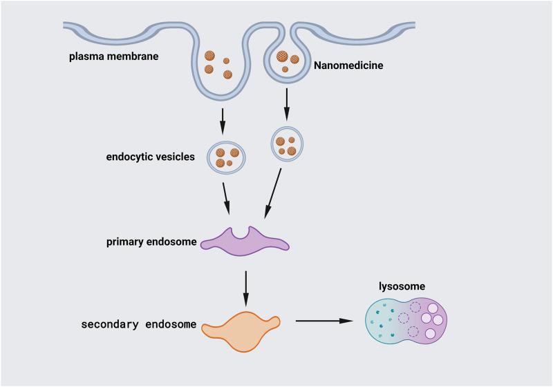 https://cdn.ncbi.nlm.nih.gov/pmc/blobs/63b2/9280890/51bb323c687c/fgene-13-915911-g004.jpg
