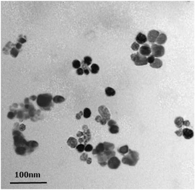 https://cdn.ncbi.nlm.nih.gov/pmc/blobs/63b3/11841213/8ac705195482/gr1.jpg