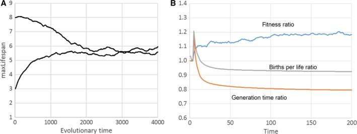 https://cdn.ncbi.nlm.nih.gov/pmc/blobs/63b3/6398523/8b794c3d6a14/ACEL-15-986-g006.jpg