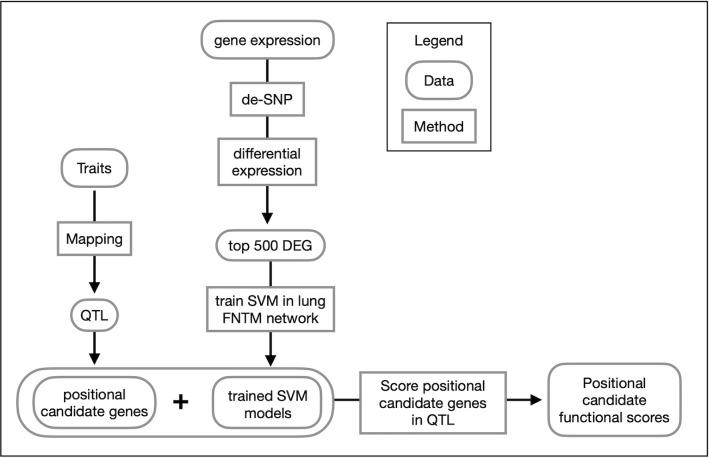 https://cdn.ncbi.nlm.nih.gov/pmc/blobs/63b5/11195971/7b77de5688e9/ppat.1011915.g005.jpg