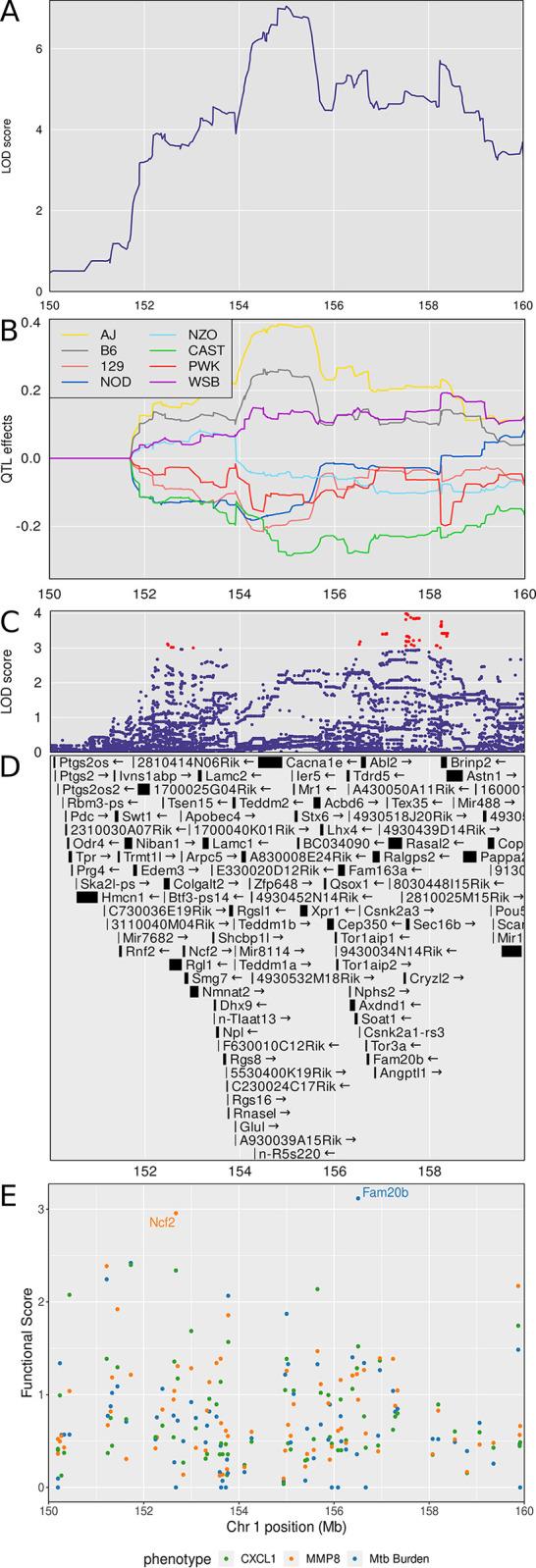 https://cdn.ncbi.nlm.nih.gov/pmc/blobs/63b5/11195971/964c61e7c140/ppat.1011915.g006.jpg