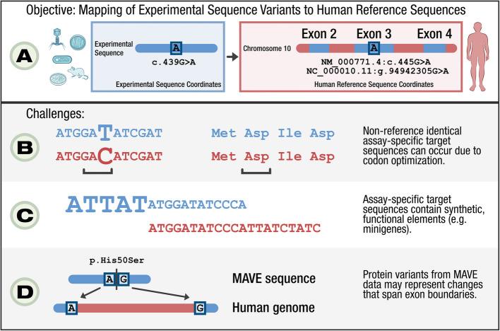 https://cdn.ncbi.nlm.nih.gov/pmc/blobs/63b5/12188674/84fdd912344d/13059_2025_3647_Fig1_HTML.jpg