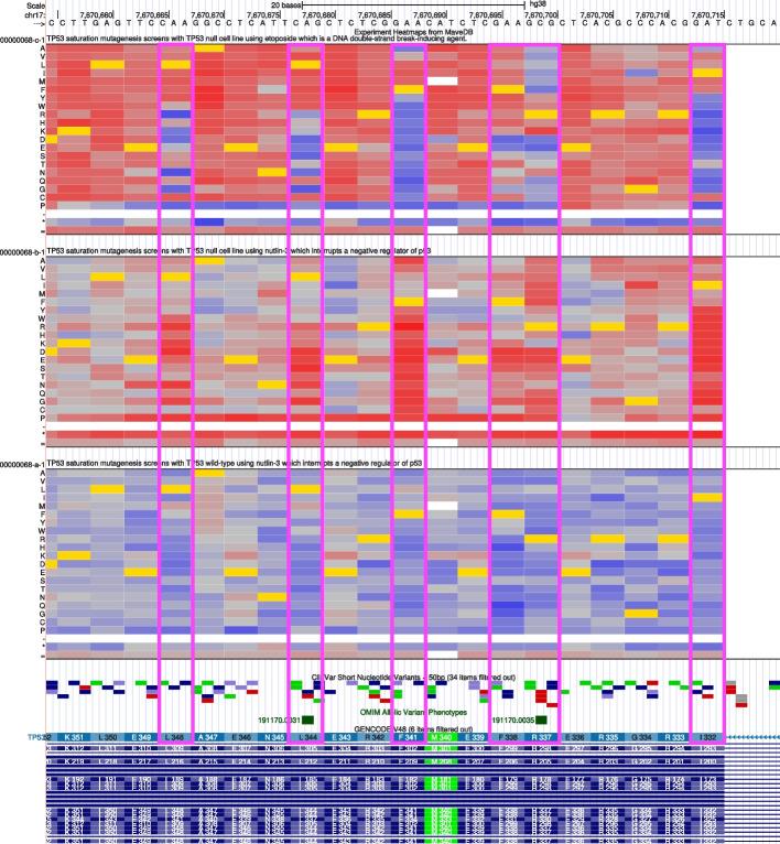 https://cdn.ncbi.nlm.nih.gov/pmc/blobs/63b5/12188674/cf90ad7b913e/13059_2025_3647_Fig3_HTML.jpg