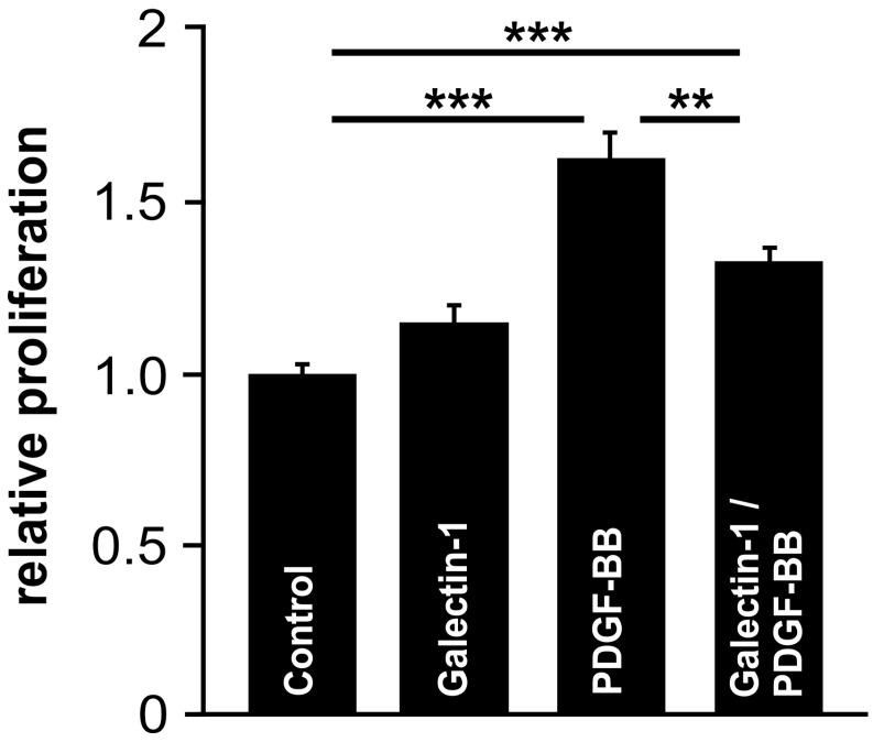 https://cdn.ncbi.nlm.nih.gov/pmc/blobs/63b7/11395115/2d87b3127160/ijms-25-09267-g007.jpg