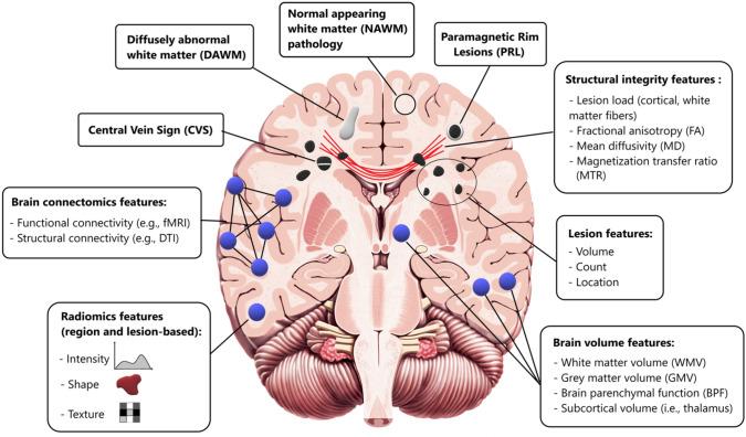 https://cdn.ncbi.nlm.nih.gov/pmc/blobs/63b8/11447111/625ee6f9d1b8/415_2024_12651_Fig2_HTML.jpg