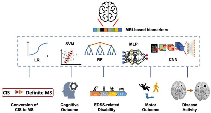 https://cdn.ncbi.nlm.nih.gov/pmc/blobs/63b8/11447111/b1aa5f1ea705/415_2024_12651_Fig3_HTML.jpg