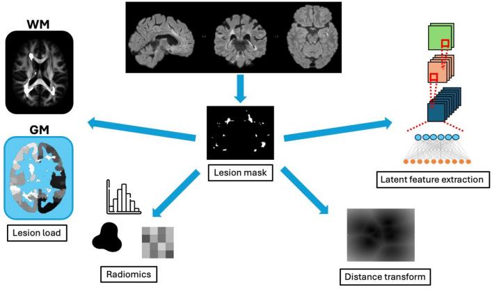 https://cdn.ncbi.nlm.nih.gov/pmc/blobs/63b8/11447111/c0ea6b5919c5/415_2024_12651_Fig5_HTML.jpg