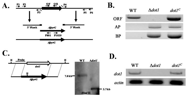https://cdn.ncbi.nlm.nih.gov/pmc/blobs/63b8/5535179/8ab6e5cacbe9/toxins-09-00232-g002.jpg