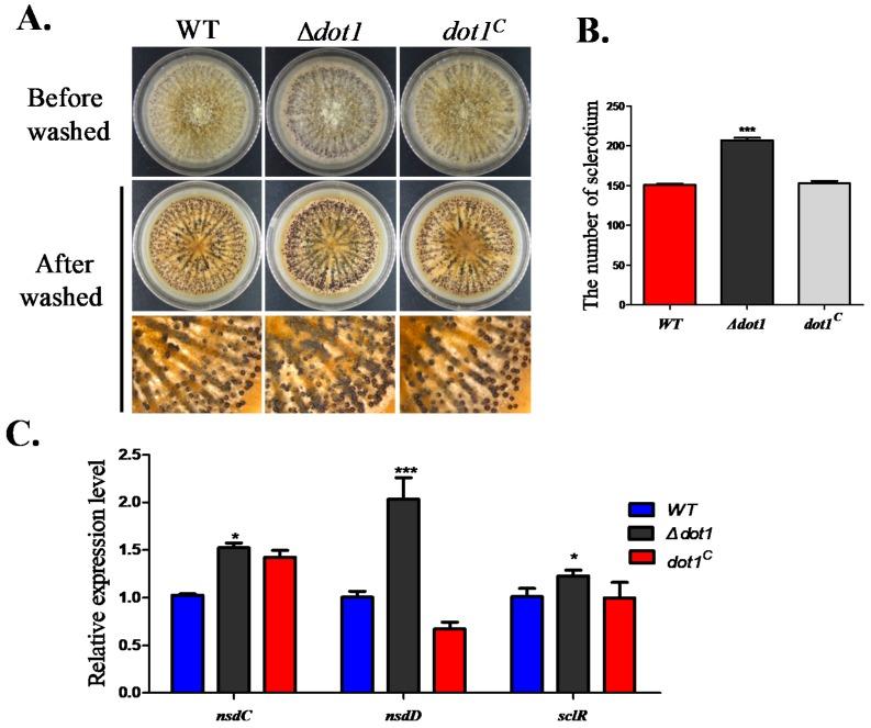 https://cdn.ncbi.nlm.nih.gov/pmc/blobs/63b8/5535179/d1d3b36ee842/toxins-09-00232-g004.jpg