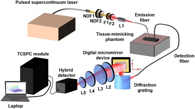 https://cdn.ncbi.nlm.nih.gov/pmc/blobs/63bb/10807872/ca72364bf7d2/JBO-029-015002-g001.jpg