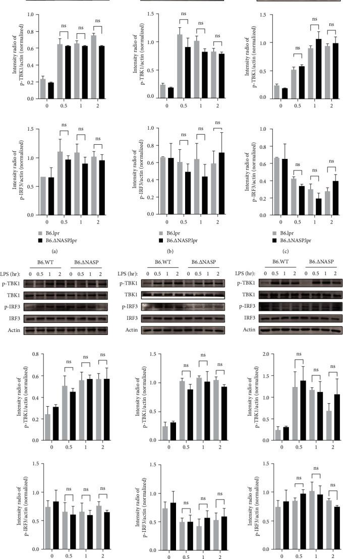 https://cdn.ncbi.nlm.nih.gov/pmc/blobs/63bc/10533267/6d9d4f505ddf/JIR2023-4877700.006.jpg