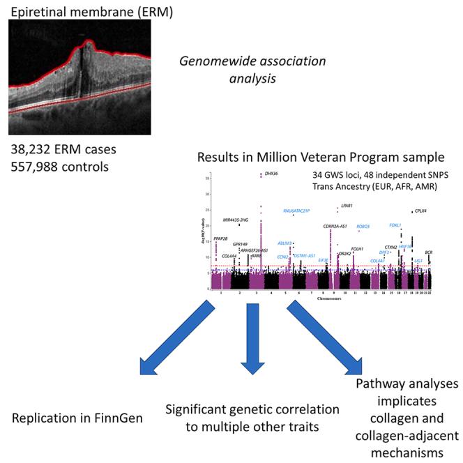 https://cdn.ncbi.nlm.nih.gov/pmc/blobs/63bc/11228954/823fa39dd144/fx1.jpg