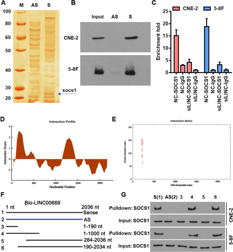 https://cdn.ncbi.nlm.nih.gov/pmc/blobs/63bc/7444085/68b21d675ecb/13046_2020_1674_Fig3_HTML.jpg