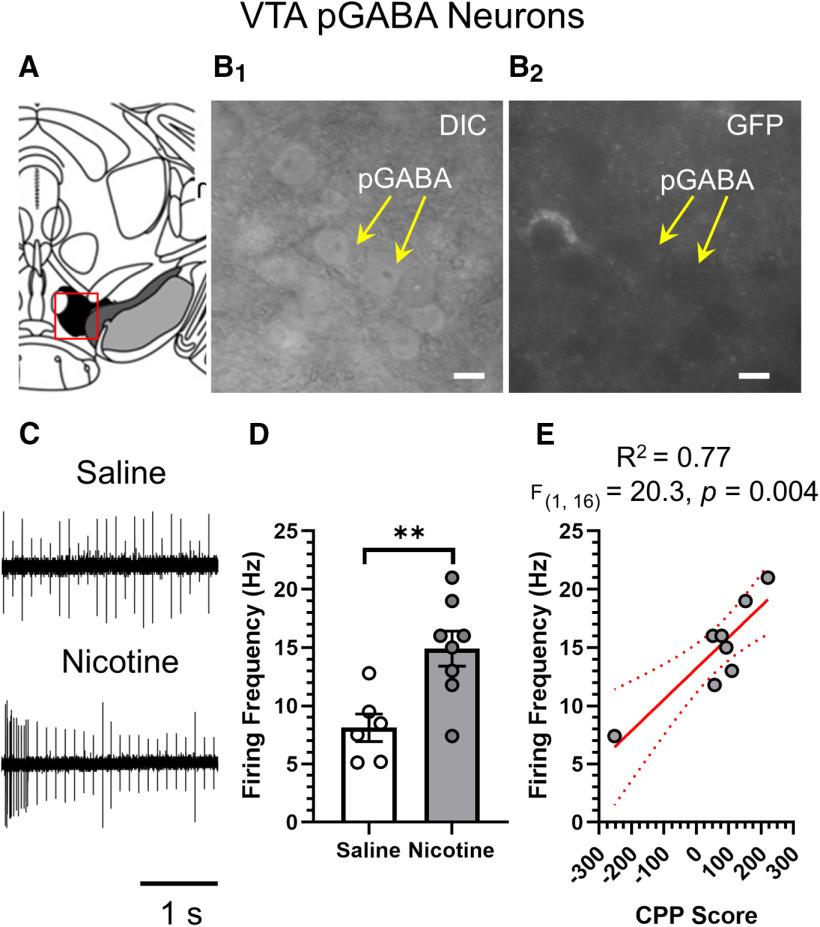 https://cdn.ncbi.nlm.nih.gov/pmc/blobs/63bc/7568605/580fb61c15a8/SN-ENUJ200259F006.jpg