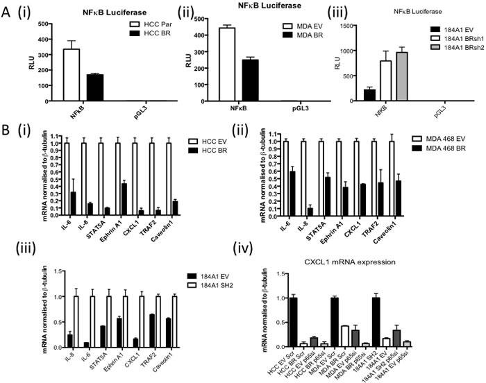 https://cdn.ncbi.nlm.nih.gov/pmc/blobs/63bd/4991425/7715fc3b0b20/oncotarget-07-19884-g001.jpg