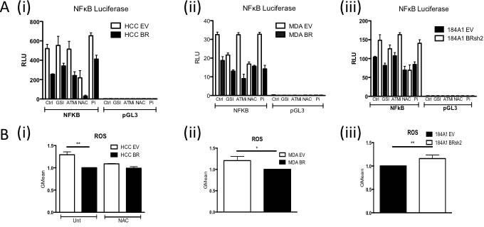 https://cdn.ncbi.nlm.nih.gov/pmc/blobs/63bd/4991425/948c93707136/oncotarget-07-19884-g002.jpg
