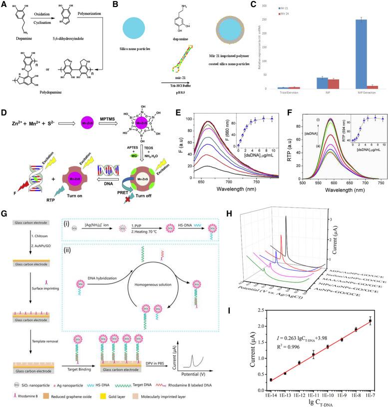https://cdn.ncbi.nlm.nih.gov/pmc/blobs/63be/10182667/3576f5bb5fc2/40824_2023_388_Fig5_HTML.jpg