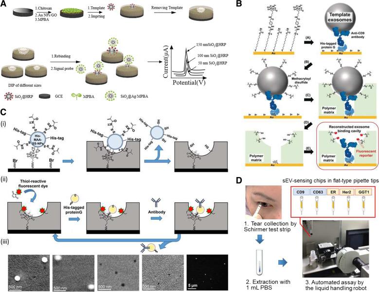 https://cdn.ncbi.nlm.nih.gov/pmc/blobs/63be/10182667/6705692d3f1a/40824_2023_388_Fig7_HTML.jpg