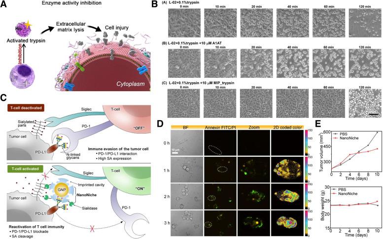 https://cdn.ncbi.nlm.nih.gov/pmc/blobs/63be/10182667/9fe79e44ca24/40824_2023_388_Fig12_HTML.jpg